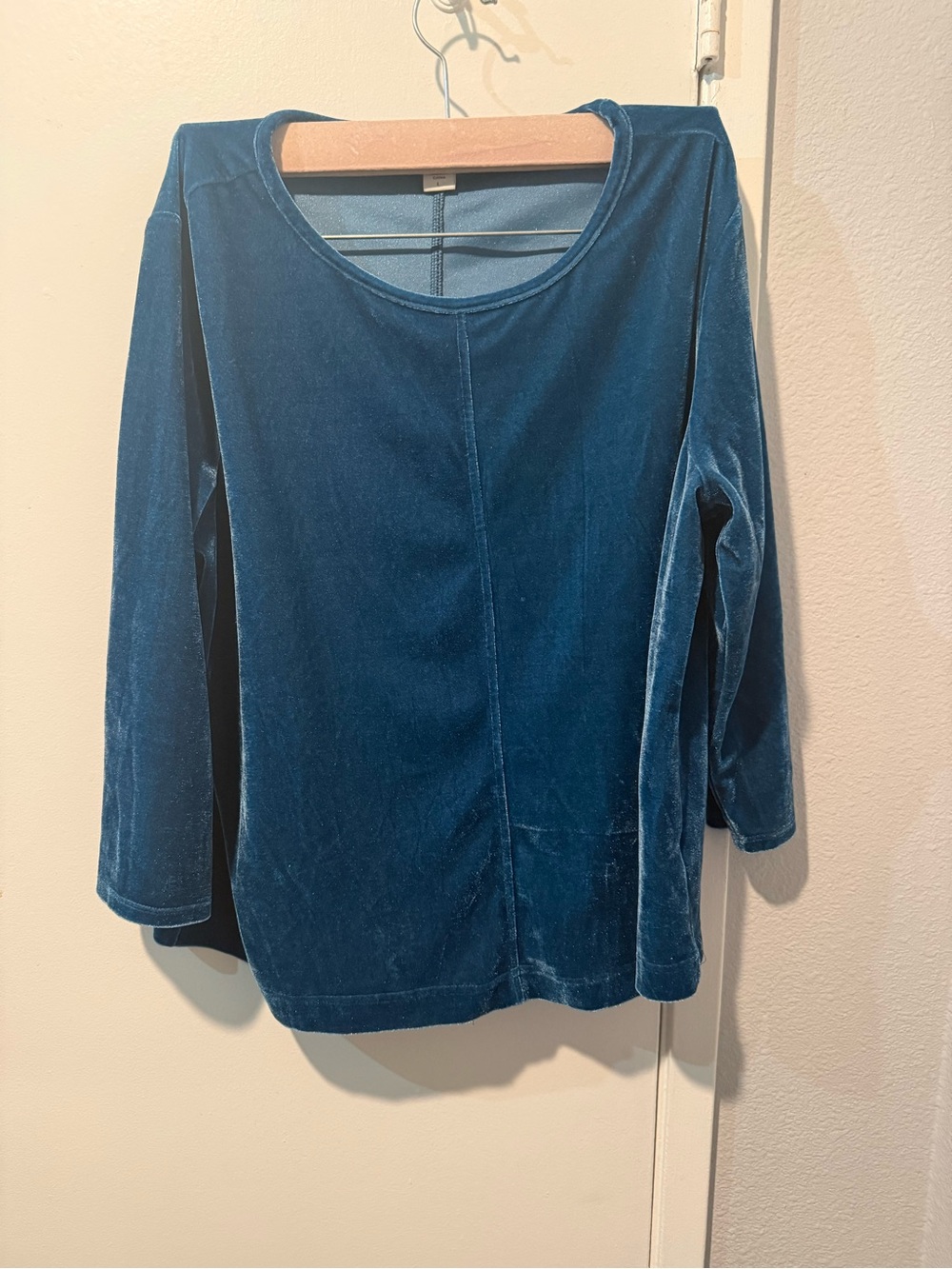 Coldwater Creek Teal Velvet Long-Sleeve Scoop Neck Top